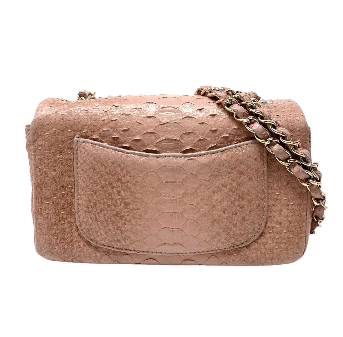 Chanel Python Small Flap Bag - Image 2